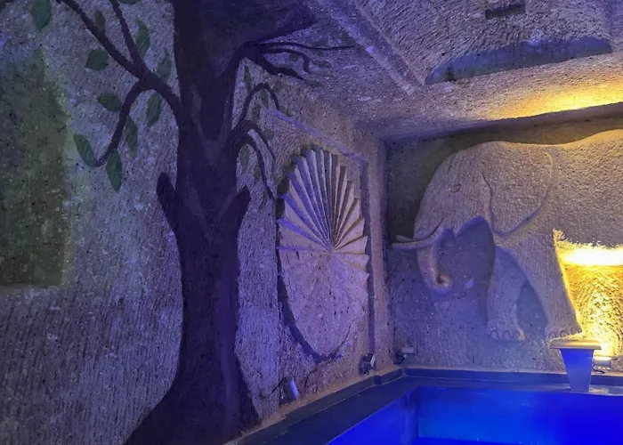 酒店 Vanessa Cave 于尔居普